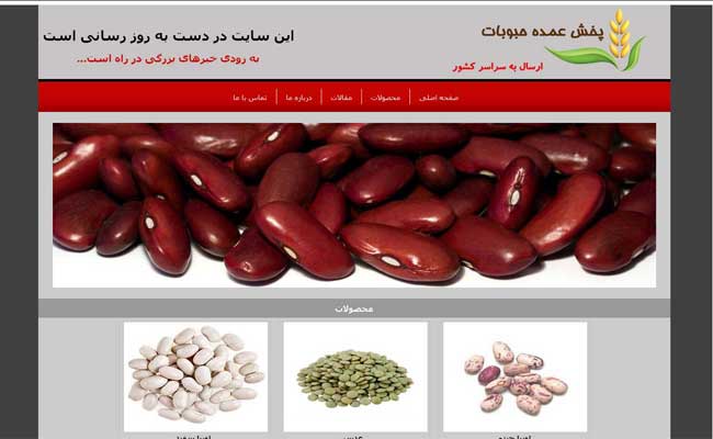 طراحی سایت فروشگاهی ، طراحی سایت فروشگاهی متوسط