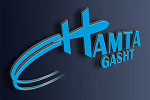 لوگو همتا گشت